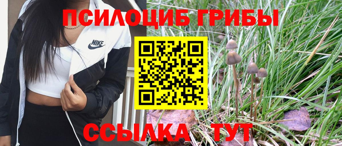 Псилоцибиновые грибы мухоморы Курчалой