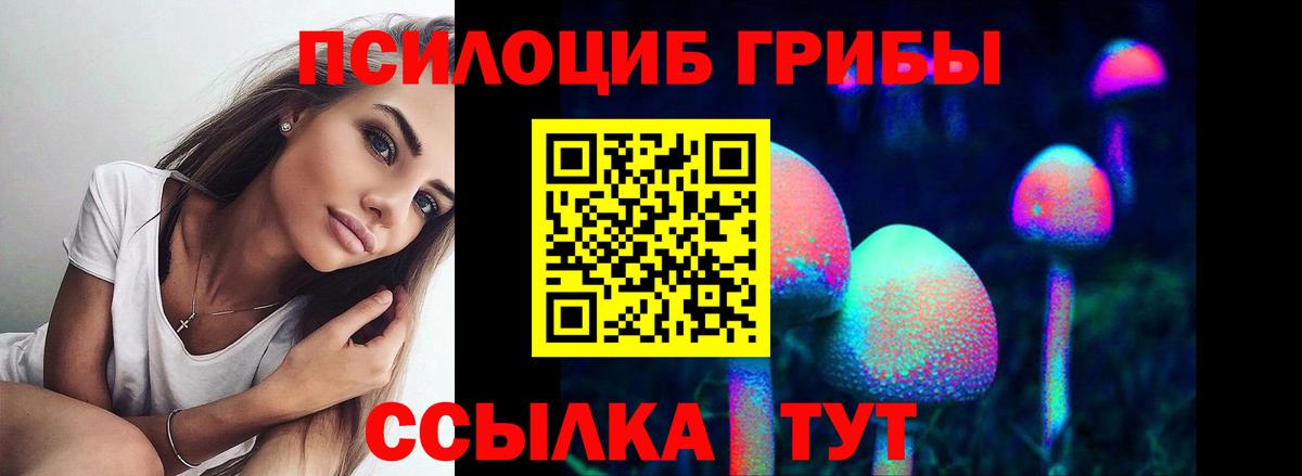 Галлюциногенные грибы Cubensis  Вход с VPN  Курчалой  Псилоцибиновые грибы Magic Shrooms 